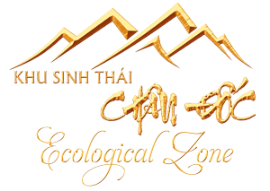 Khu Sinh Thái Châu Đốc
