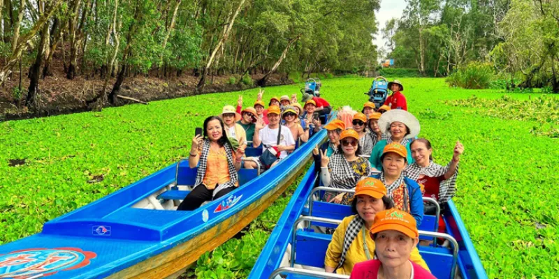 Rừng tràm Trà Sư bằng tắc ráng