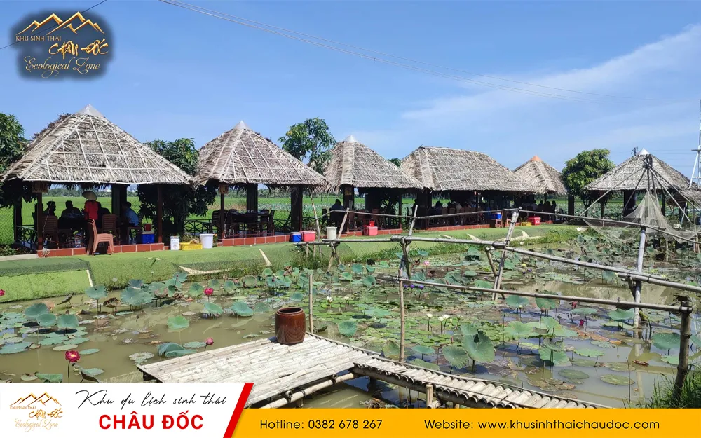 Khu du lịch sinh thái Châu Đốc An Giang hồ sen và nhà chòi