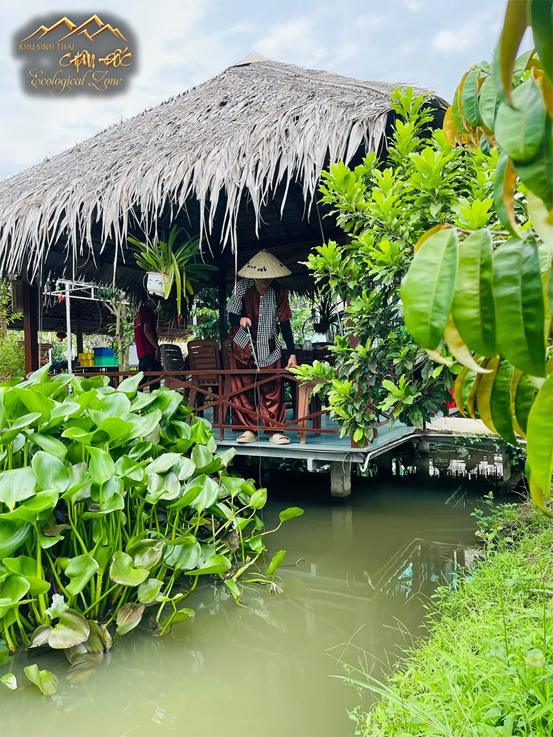 Tải nghiệm câu cá bên hồ cực chiil