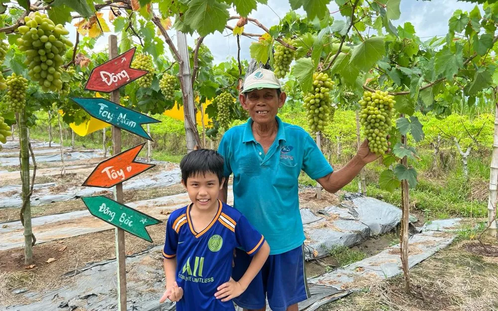 Vườn nho Thiện Tính