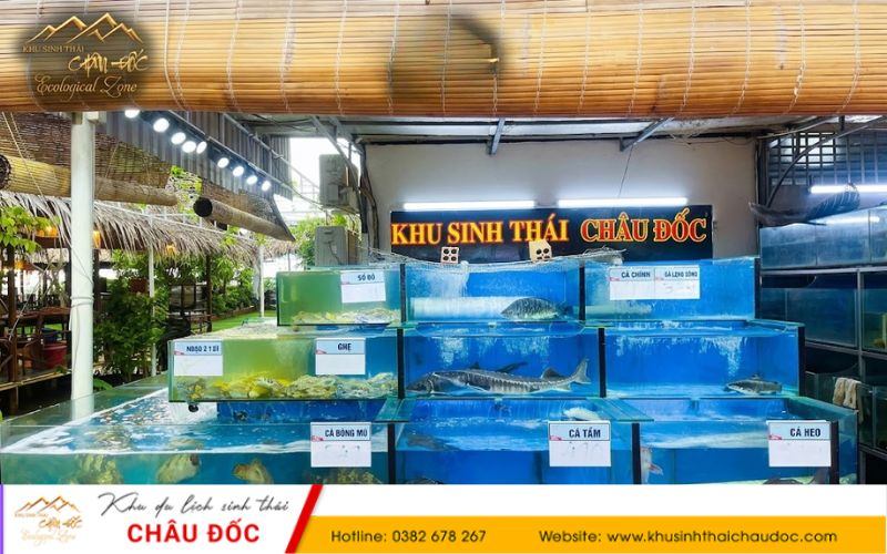 Nguồn nguyên liệu tươi tại Khu sinh thái Châu Đốc