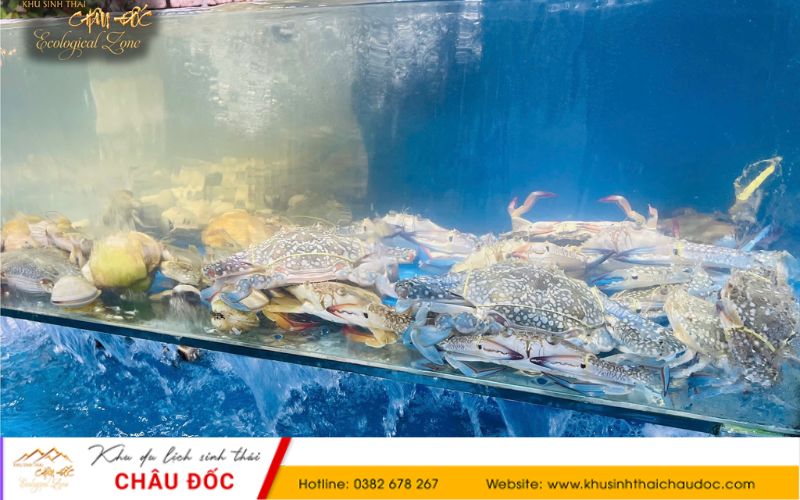 Ghẹ tươi tại Khu sinh thái Châu Đốc