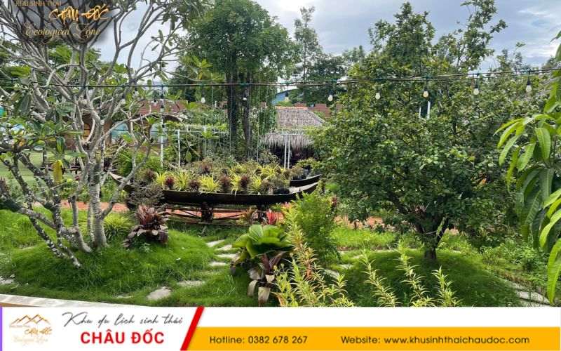 Không gian xanh, nhiều cây tại Khu sinh thái Châu Đốc