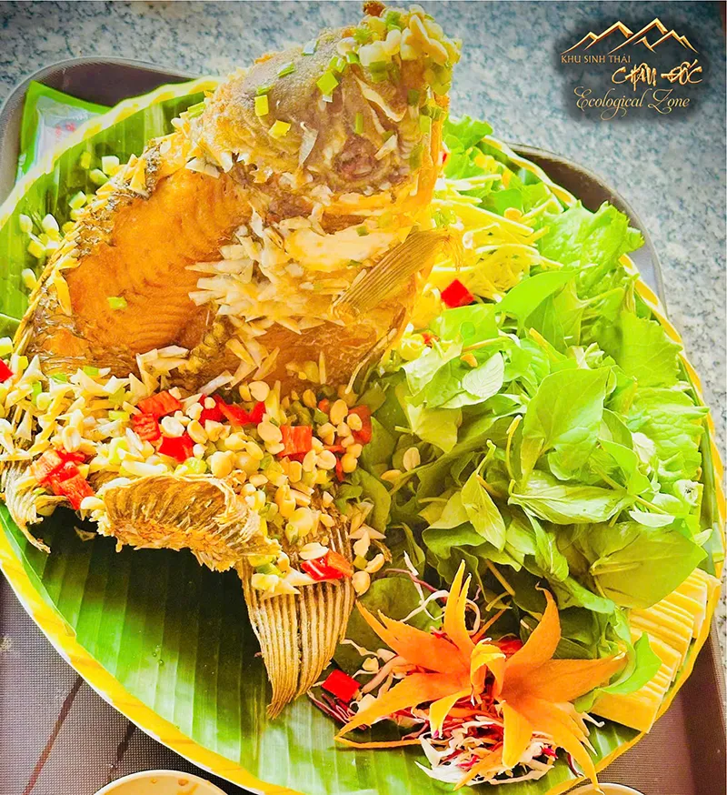 CÁ TAI TƯỢNG CHIÊN XÙ