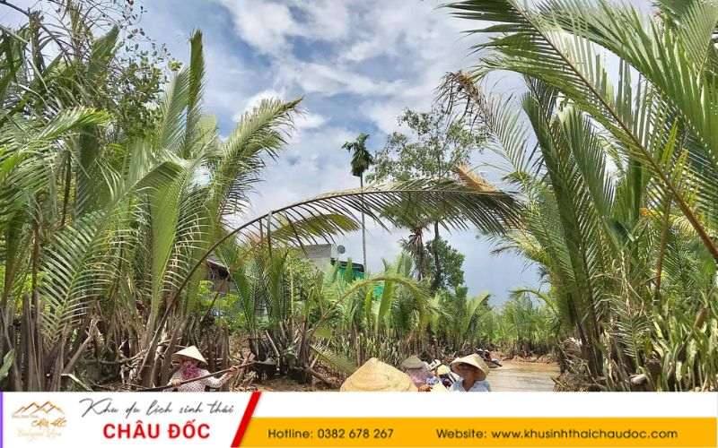 Cảnh vật Cùi Lao Thới Sơn