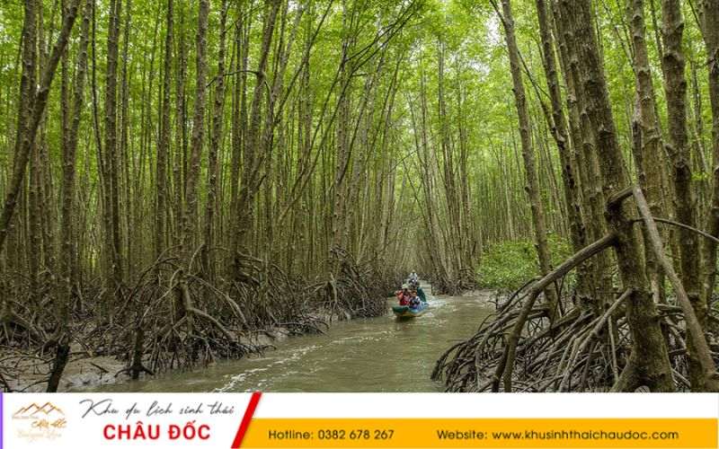 Rừng ngập mặn Cà Mau