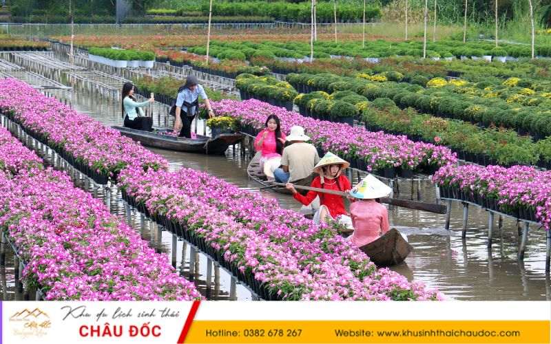 Mùa Tết ở Làng hoa Sa Đéc