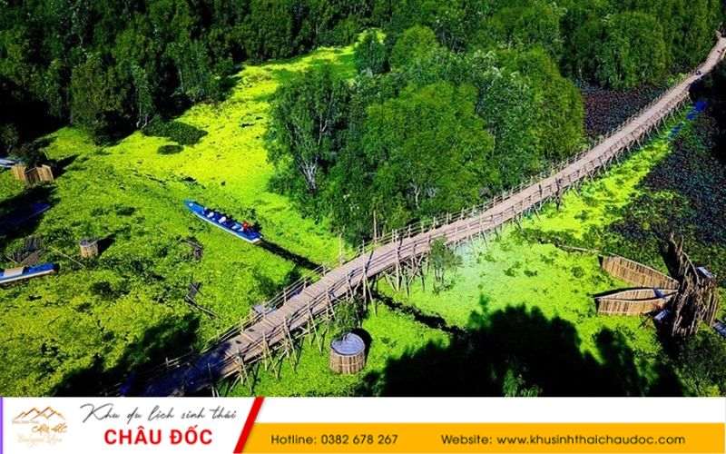 Cầu tre vượt bước ở Rừng Tràm Sư An Giang