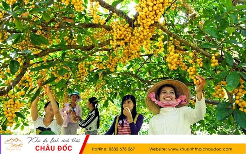 Du lịch miệt vườn Cái Bè - Tiền Giang