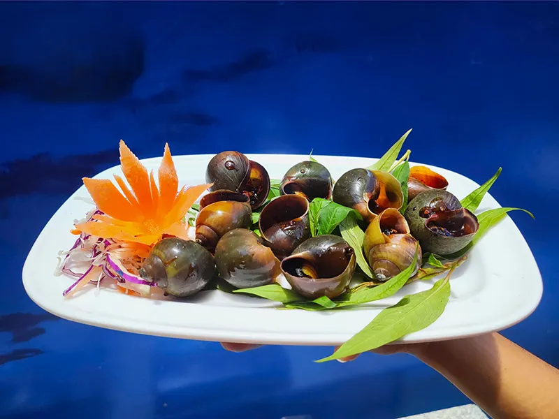 ỐC BƯƠU HẤP TIÊU