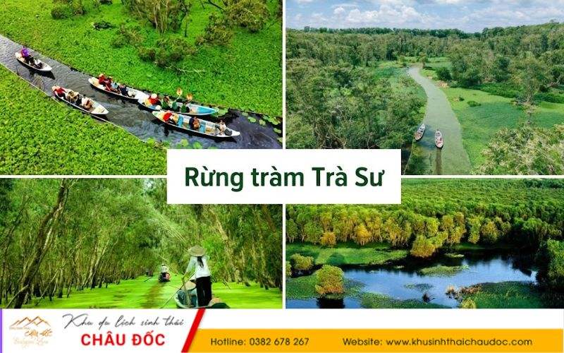 Rừng tràm Trà Sư