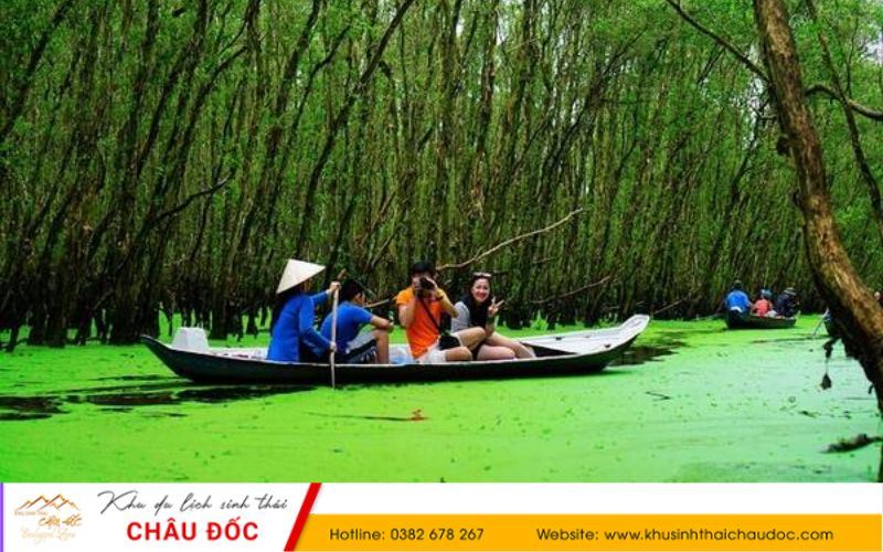 Mùa nước dâng tại rừng tràm Trà Sư