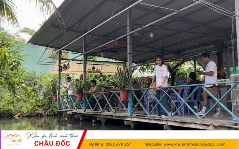 Hoạt động câu cá giải trí