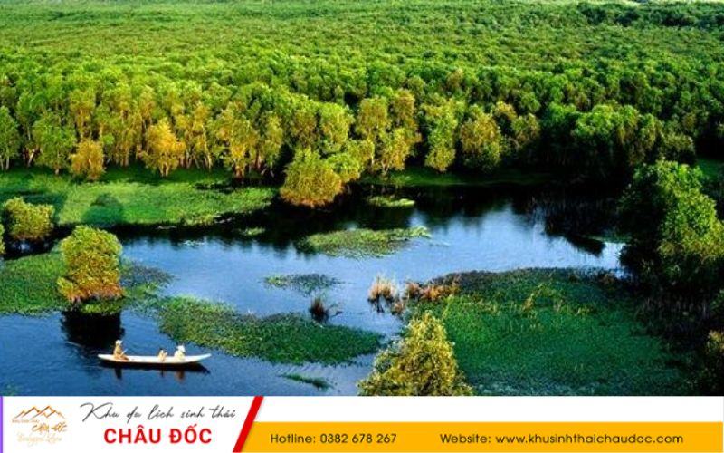 Vẻ đẹp thiên nhiên của rừng tràm Trà Sư