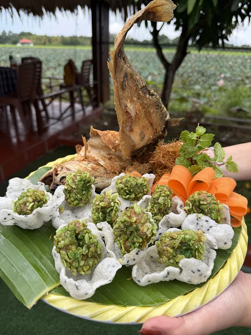 THÁC LÁC HÓA RỒNG