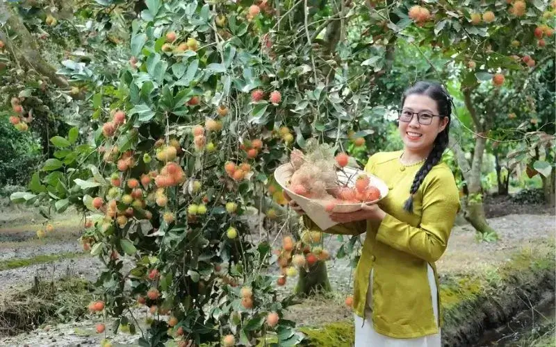 du lịch miền tây 2 ngày nên đi đâu