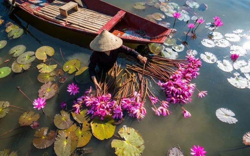 Thời tiết mùa xuân mát mẻ quang đãng thích hợp du lịch miền tây mùa nào đẹp nhất