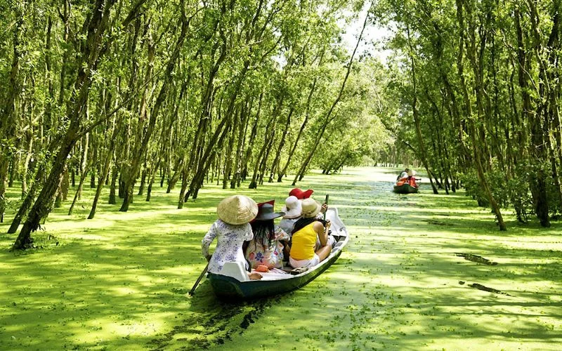 Khung cảnh xanh mướt tại Rừng tràm Trà Sư với những con rạch nhỏ uốn lượn và thảm bèo đặc trưng của vùng ngập nước miền Tây